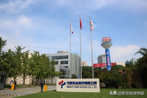 以智戰“剩” 光明乳業5C競爭力驅動總部管理，煥發鮮奶產業新活力